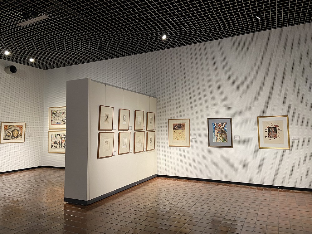 所蔵名品展 20世紀美術の辿った軌跡